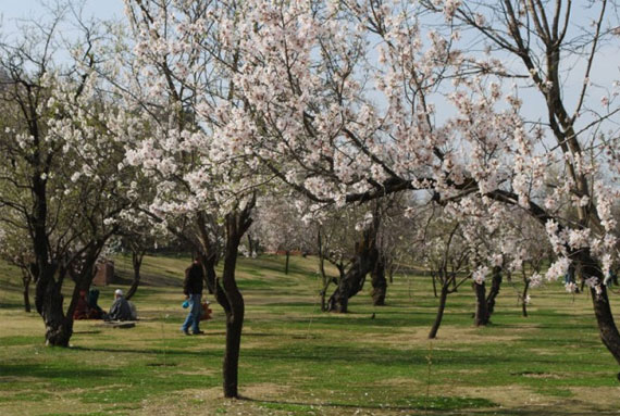 Kashmir Tour Package